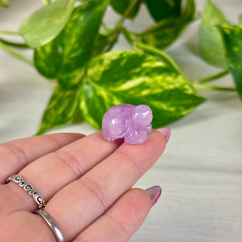 Mini Kunzite Turtle 180 8 - Kenna's Crystals from TikTok
