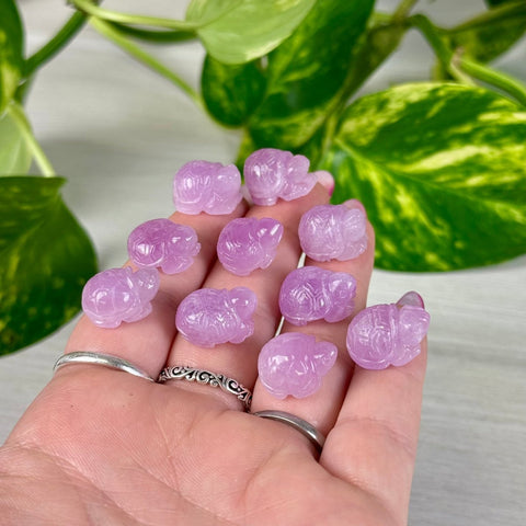 Mini Kunzite Turtle 66 6 - Kenna's Crystals from TikTok