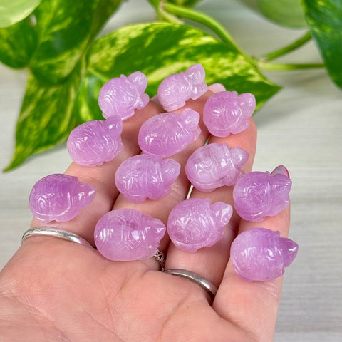 Mini Kunzite Turtle 88 7 - Kenna's Crystals from TikTok