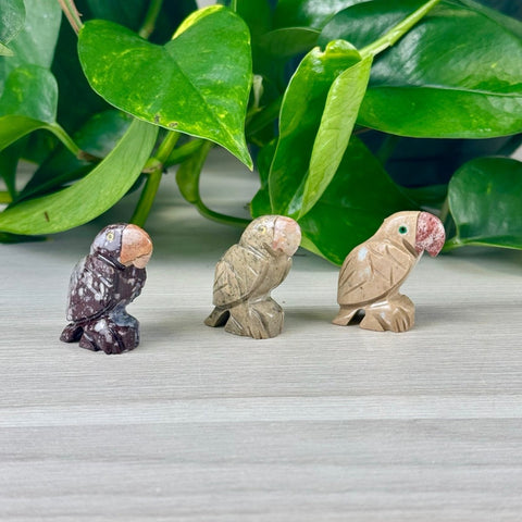 Mini Soapstone Animal Carvings Parrot 14 - Kenna's Crystals from TikTok