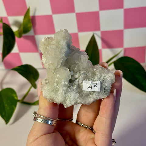 Mint-green fluorite with calcite specimen, A2, held in hand against a pink and white checkered background.