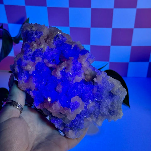 Mint-green fluorite with calcite specimen glowing bright blue under UV light, held by a hand.
