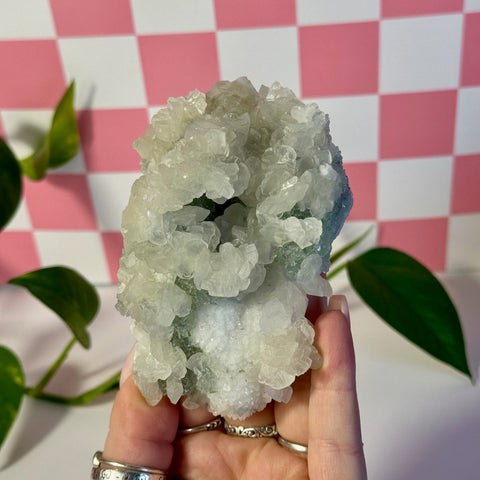 Mint-green fluorite with calcite specimen held in hand against a pink and white checkered background.