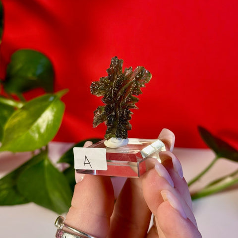 Moldavite Hedgehog A 1 - Kenna's Crystals from TikTok