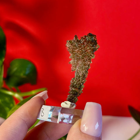 Moldavite Hedgehog B 9 - Kenna's Crystals from TikTok