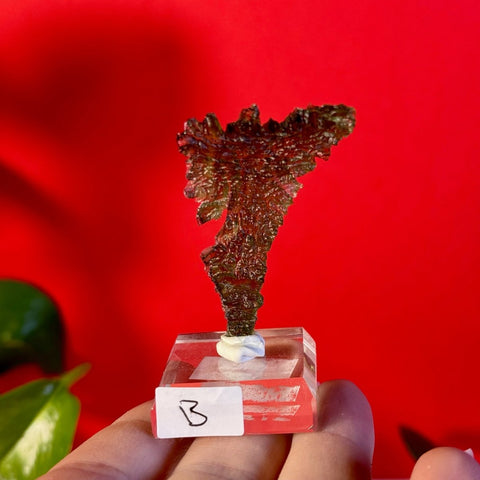 Moldavite Hedgehog B 2 - Kenna's Crystals from TikTok