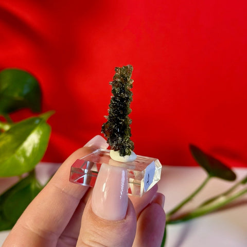 Moldavite Hedgehog B 3 - Kenna's Crystals from TikTok