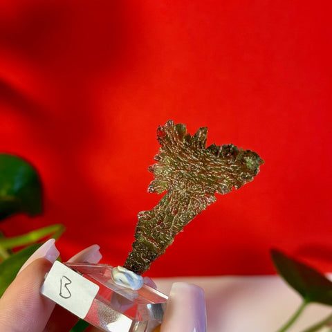 Moldavite Hedgehog B 6 - Kenna's Crystals from TikTok