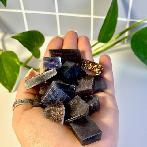 Hand holding various dark purple and brown Mystery Galaxy Iolite crystal pieces, some with glitter, against a plant background.
