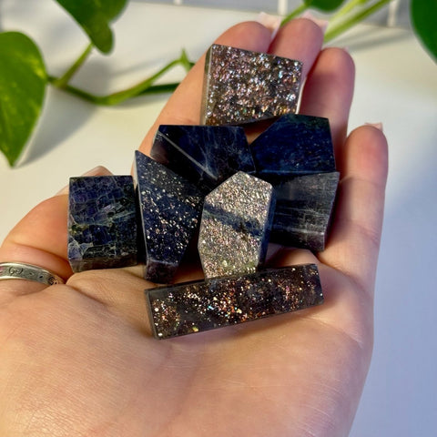 Hand holding multiple dark blue and purple Mystery Galaxy Iolite crystal pieces with sparkling inclusions.