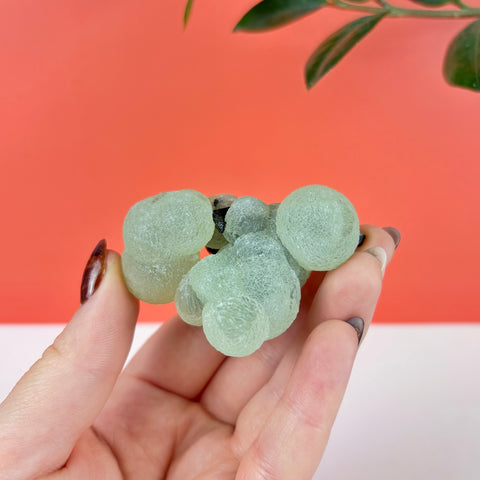 Hand holding a cluster of pale green botryoidal prehnite crystals with dark epidote inclusions.