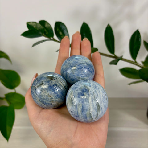 Three polished ocean blue kyanite spheres with natural white veining held in a palm against a green plant background.