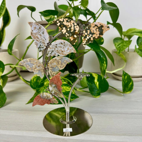 Ocean Jasper Butterfly Flock D (Imperfect) 4 - Kenna's Crystals from TikTok