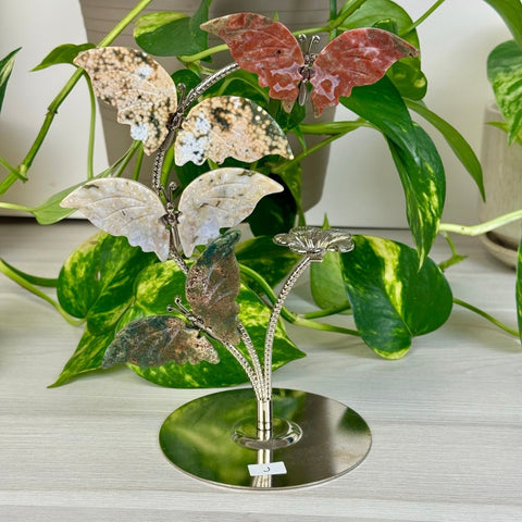 Ocean Jasper Butterfly Flock J (Imperfect) 10 - Kenna's Crystals from TikTok