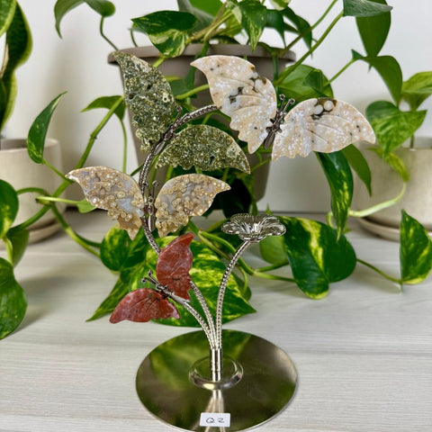 Ocean Jasper Butterfly Flock Q2 43 - Kenna's Crystals from TikTok