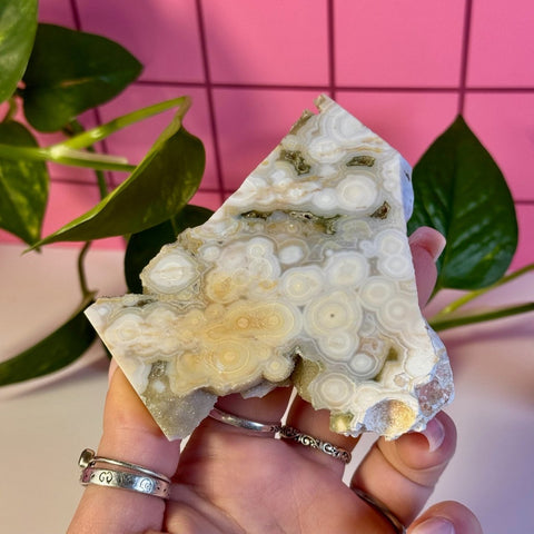 Ocean Jasper Slab 111 5 - Kenna's Crystals from TikTok