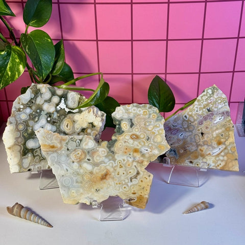 Ocean Jasper Slab 233 15 - Kenna's Crystals from TikTok