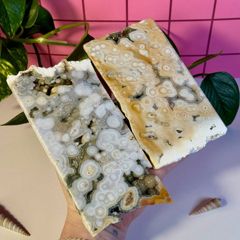 Ocean Jasper Slab 255 17 - Kenna's Crystals from TikTok