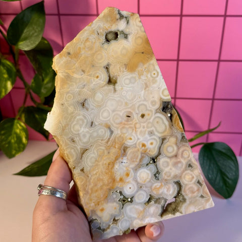 Ocean Jasper Slab 299 21 - Kenna's Crystals from TikTok