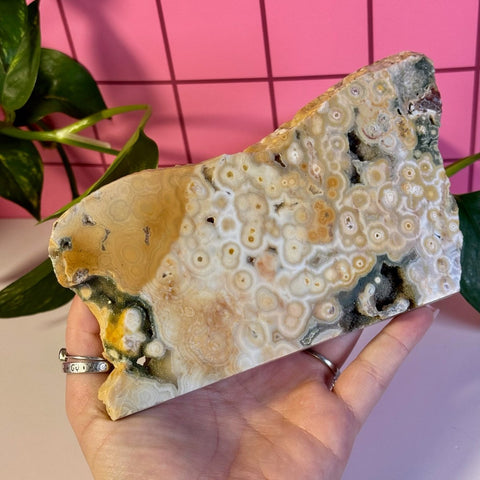 Ocean Jasper Slab 344 23 - Kenna's Crystals from TikTok