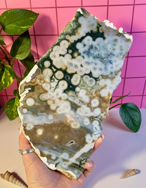 Ocean Jasper Slab 588 25 - Kenna's Crystals from TikTok