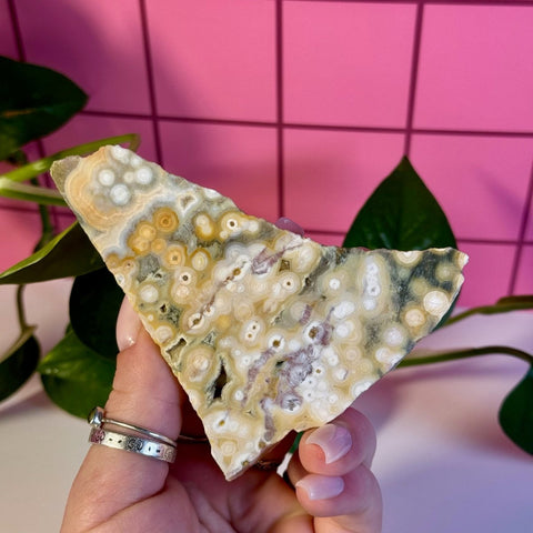 Ocean Jasper Slab 77 2 - Kenna's Crystals from TikTok