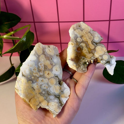 Ocean Jasper Slab 88 3 - Kenna's Crystals from TikTok