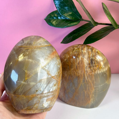 Two polished peach moonstone free forms with warm brown and orange veins, against a pink background.