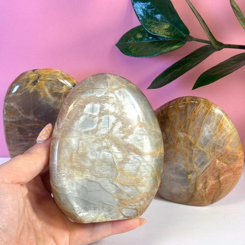 Hand holding a polished Peach Moonstone Free Form with iridescent peach and gray tones, against a pink background.