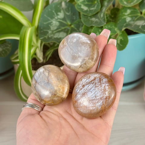 Three smooth, polished peach moonstone palm stones with shimmery flashes held in a hand, with green plants in the background.