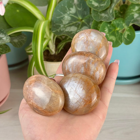 Four smooth, oval peach moonstone palm stones with creamy peach hues and shimmer held in a hand.