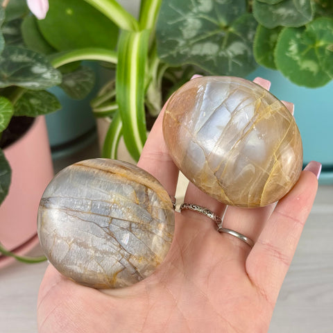 Hand holding two smooth, oval Peach Moonstone palm stones with creamy peach, gray, and shimmery hues.