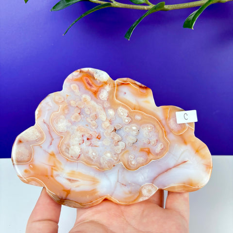 Peach Princess Plate - Kenna's Crystals