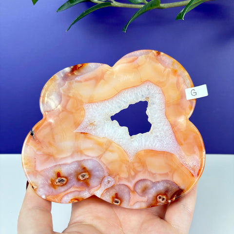 Peach Princess Plate - Kenna's Crystals