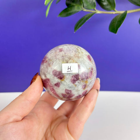 Polished pink tourmaline sphere with deep magenta inclusions held in a hand against a purple background.