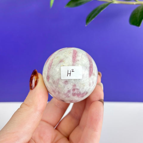 Polished pink tourmaline sphere with white matrix held in hand against a vibrant purple background.