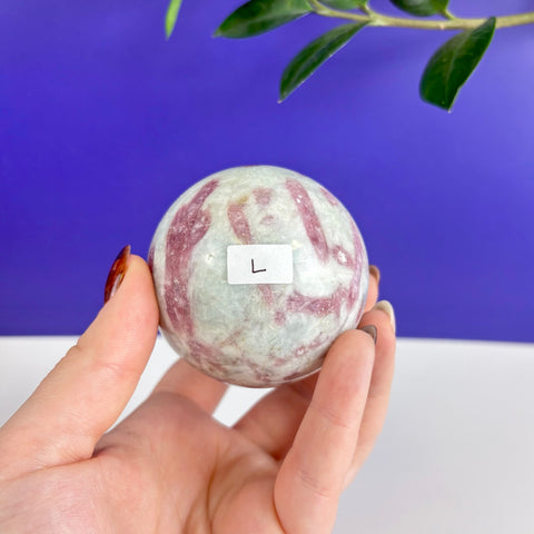 Polished pink tourmaline sphere with white matrix held in hand against a blue background.
