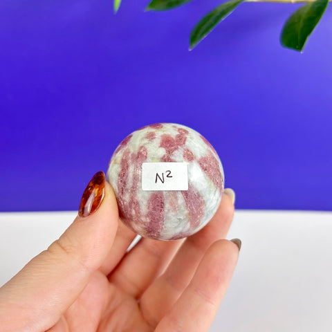 Hand held polished pink and white tourmaline sphere with a numbered label against a blue and white background.
