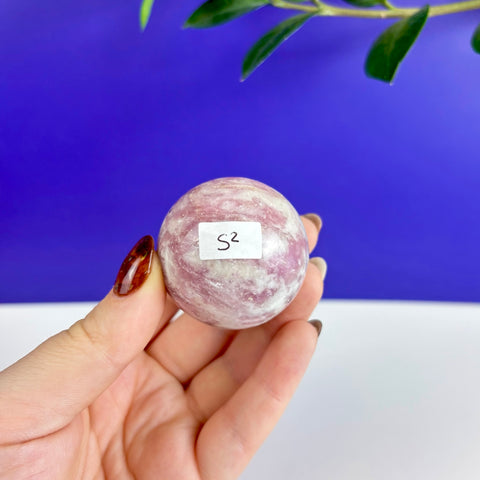 Polished pink tourmaline crystal sphere held in hand against a blue and white background.