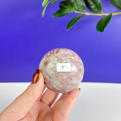 Polished pink tourmaline sphere with white mineral inclusions held in a hand against a blue background.