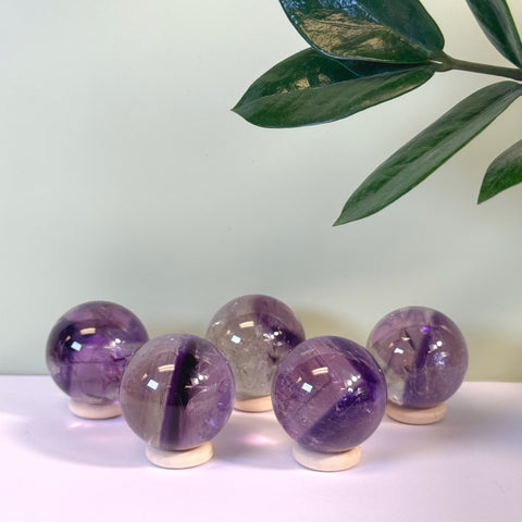 Five polished purple phantom amethyst spheres on light wooden stands.