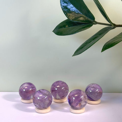 Five small purple phantom amethyst spheres on light wood stands, with a green plant in the background.