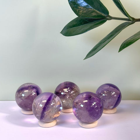 Five polished purple phantom amethyst spheres on light wood stands with a green plant in the background.