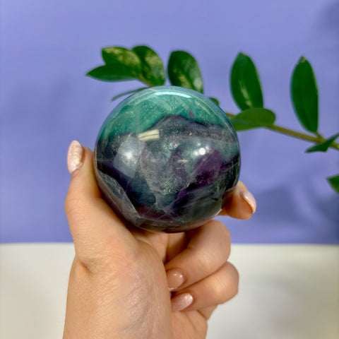Hand holding a polished phantom fluorite sphere with vibrant green and purple layered crystal formations.
