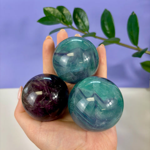 Three polished phantom fluorite spheres in purple and teal held in a hand against a purple background.