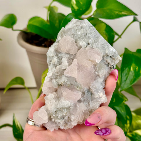 Pink Lantern Calcite P 23 - Kenna's Crystals from TikTok