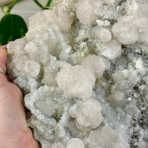 Pink Lantern Calcite Q 22 - Kenna's Crystals from TikTok
