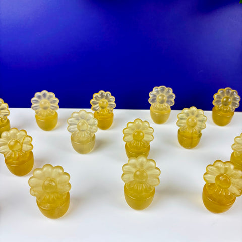 Potted Daisy - Kenna's Crystals