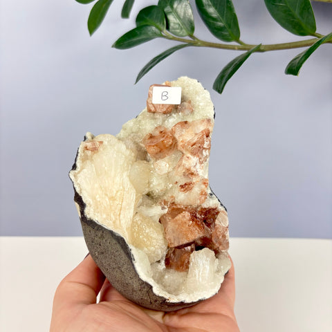 Pumpkin Patch Zeolite - Kenna's Crystals