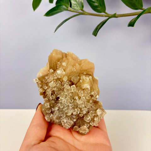 Pumpkin Patch Zeolite - Kenna's Crystals